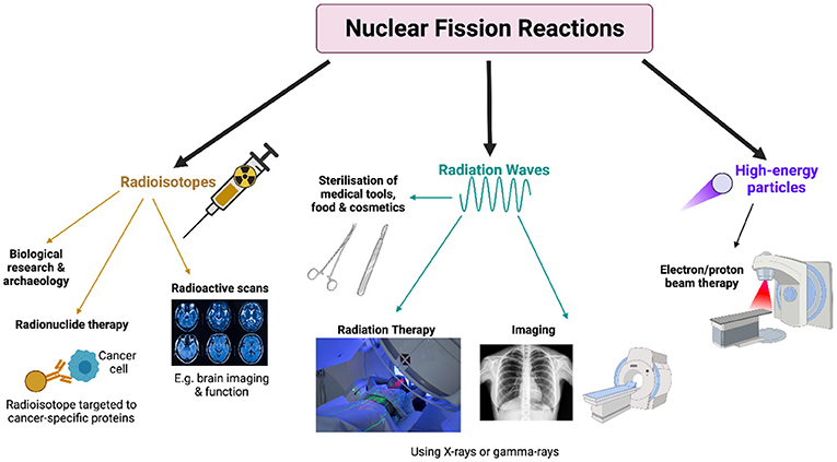 Figure 3 - Nuclear fission reactions release various kinds of radiation, including radioisotopes, radiation waves, and high-energy particles, each with a variety of medical uses.