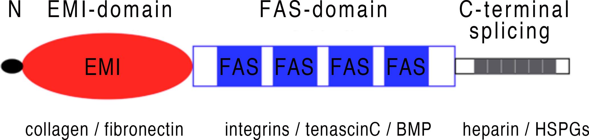www.frontiersin.org