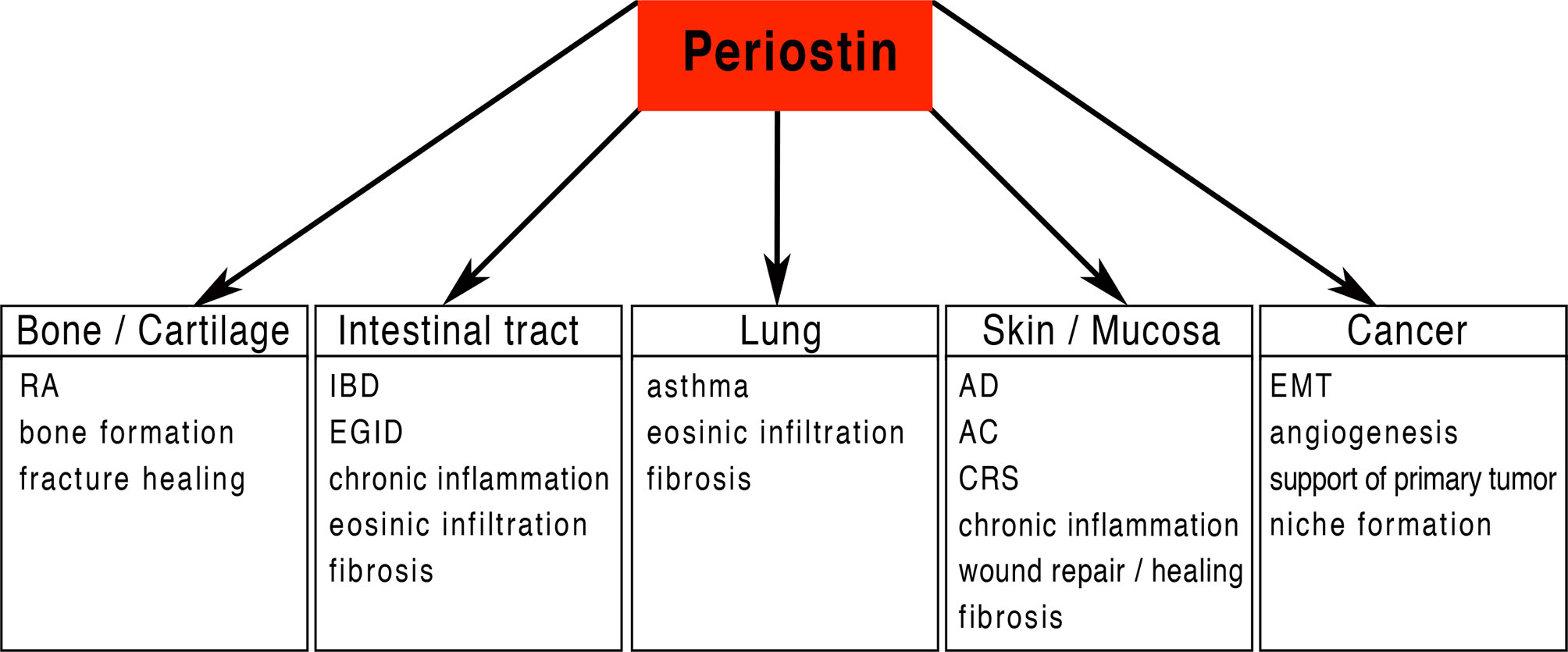 www.frontiersin.org