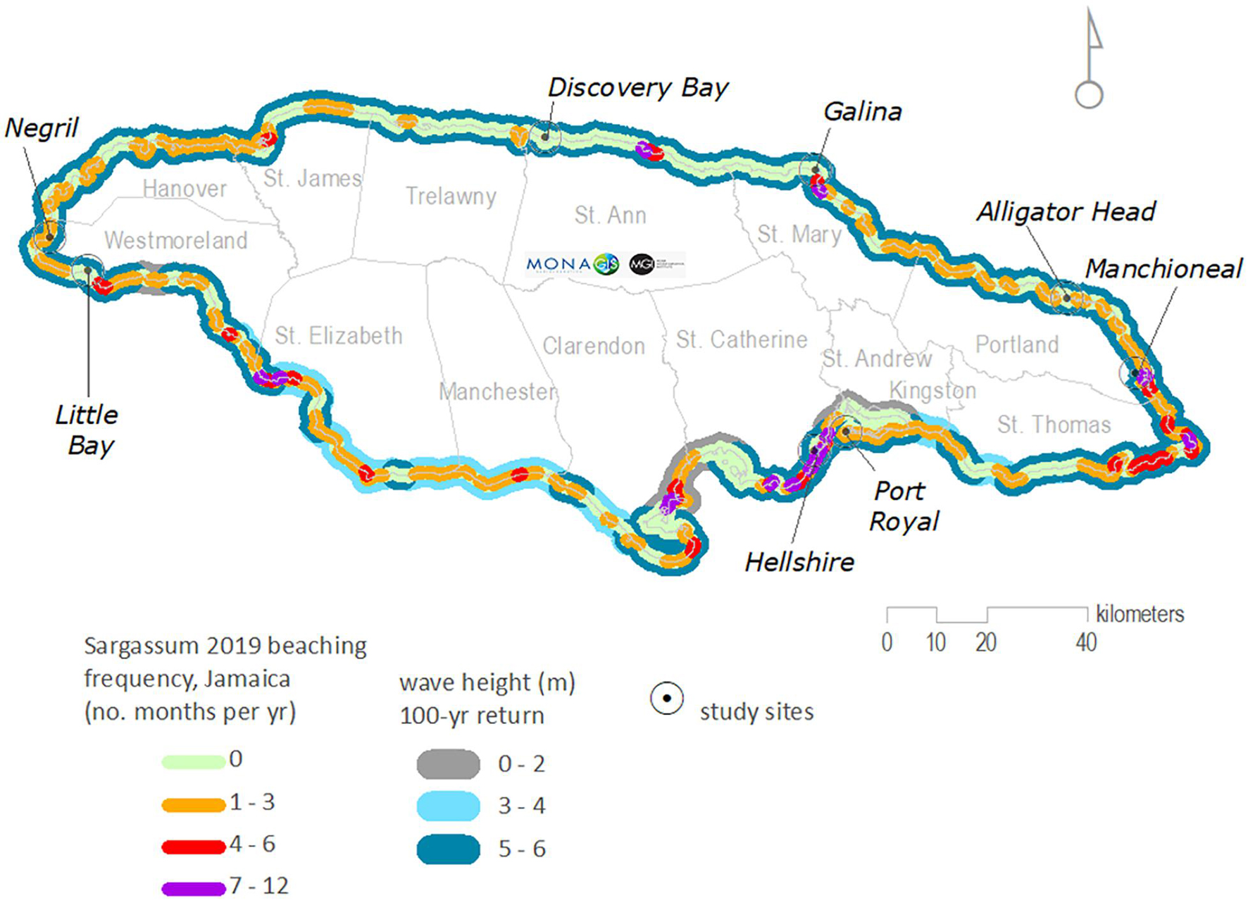 Frontiers Seasonal Predictions of Holopelagic Sargassum Across the