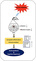 oxytocin and social amnesia in mice oxytocin and social amnesia in mice
