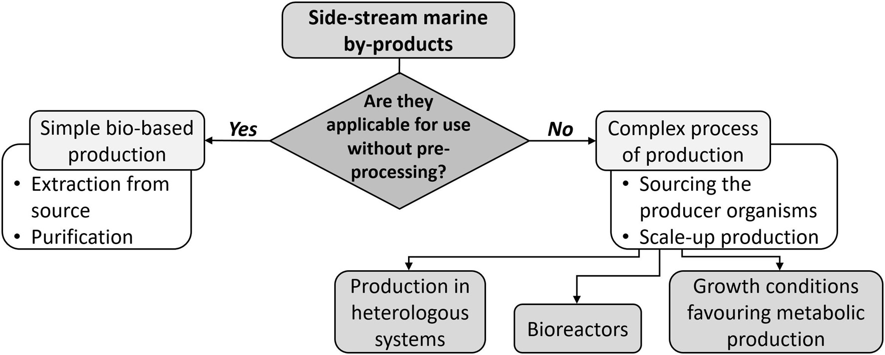 Project to develop large-scale fishing net recycling in the UK