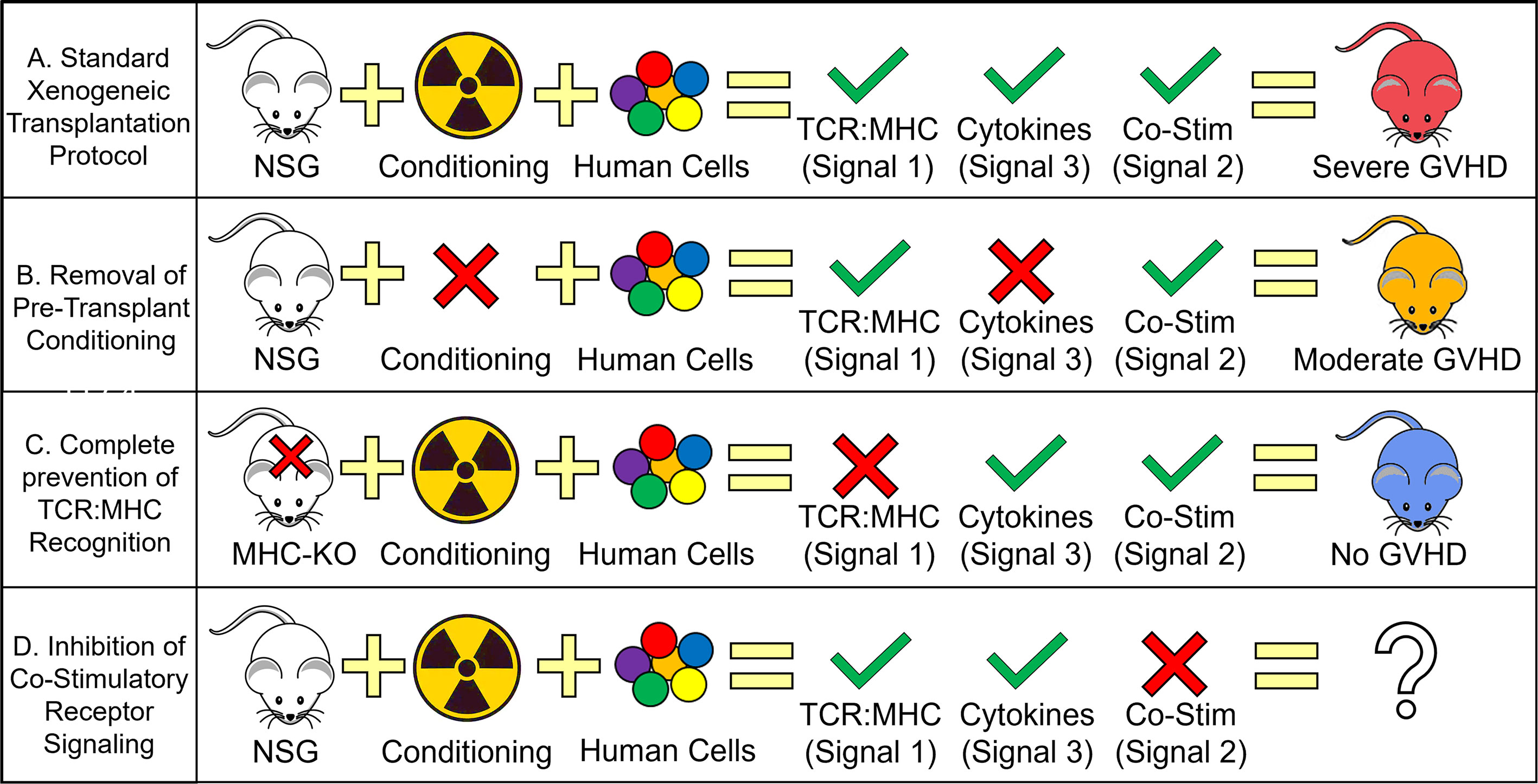 Pre-Stem Cell Transplant Treatment Regimen for AML, MDS - NCI