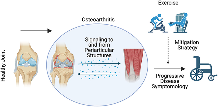 Strategies for preventing arthritis progression