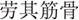www.frontiersin.org