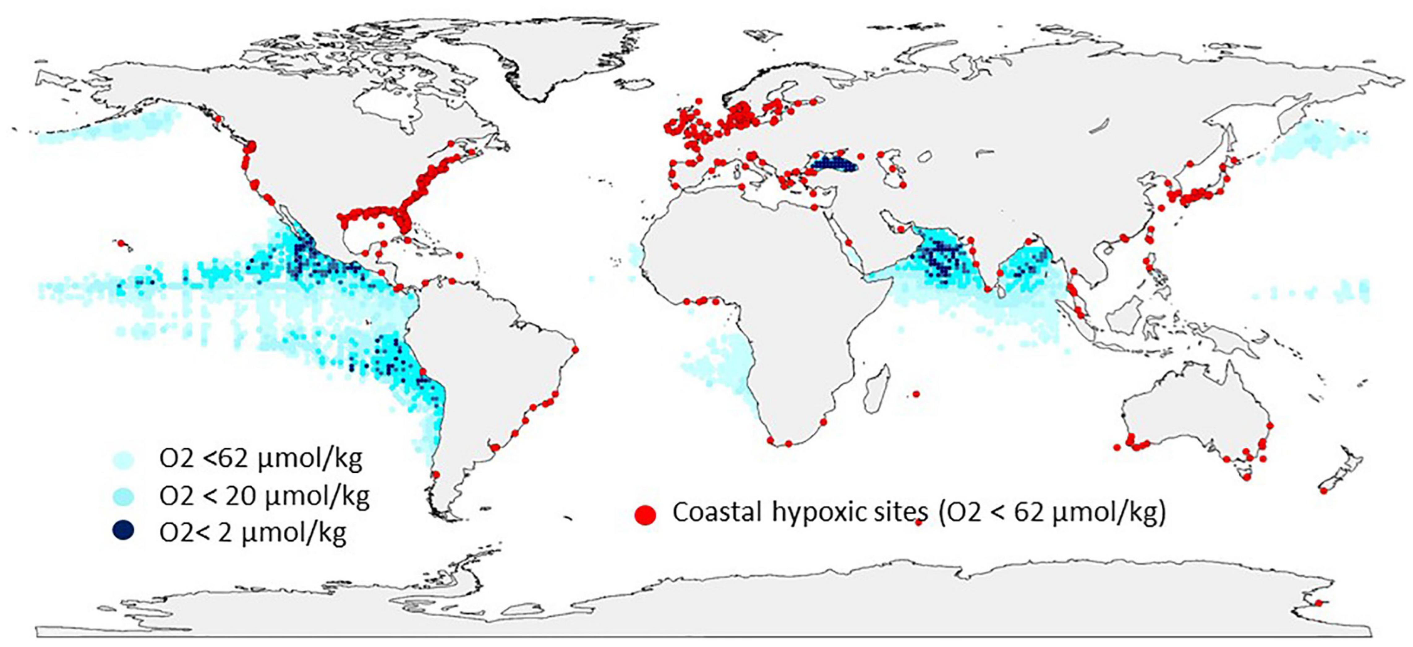 Toward a new data standard for combined marine biological and