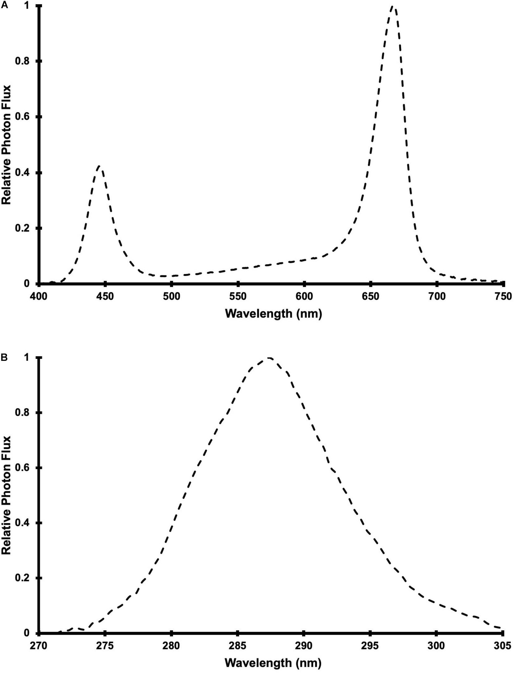 Is Over-Exposure to UV Light a Hazard in Cannabis Growing