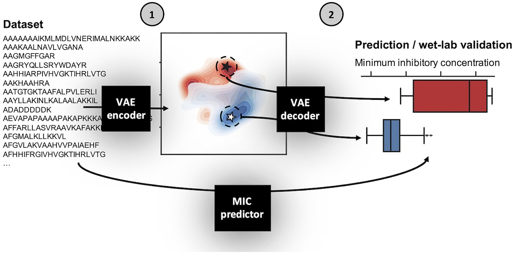 Frontiers | PepVAE: Variational Autoencoder Framework for Antimicrobial Peptide Generation and Activity