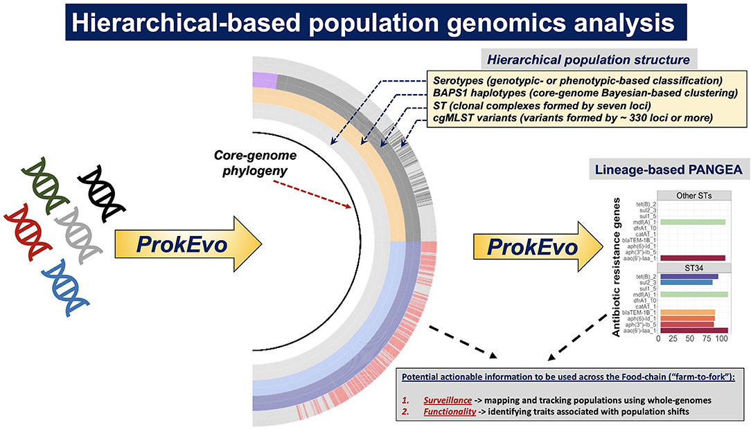 Population genomics confirms acquisition of drug-resistant