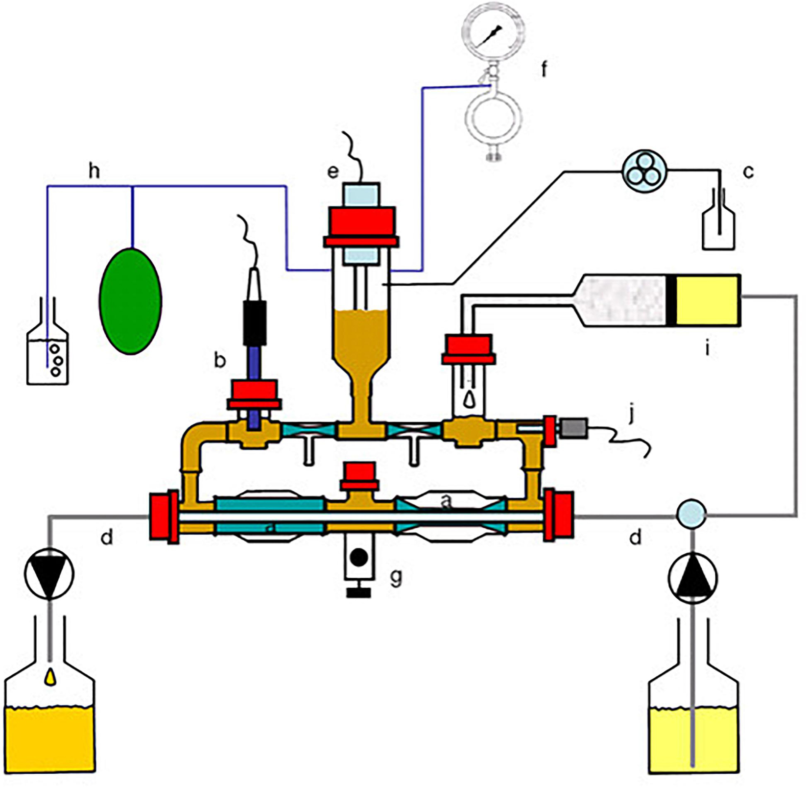 Development of the in vitro Cecal Chicken ALIMEntary tRact mOdel-2 Study Microbiota Composition and