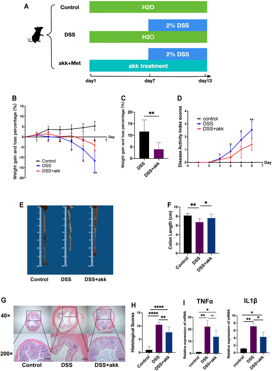 Firing pattern transition of fractional-order memristor-coupled  Hindmarsh–Rose neurons model and its medical image encryption for region of  interest | Nonlinear Dynamics