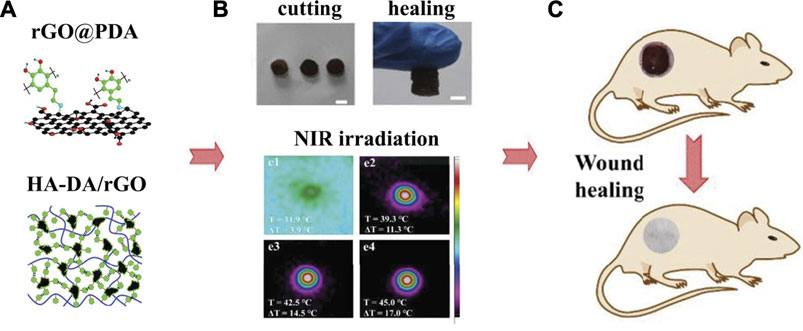 Oxidant Control of Polydopamine Surface Chemistry in Acids: A  Mechanism-Based Entry to Superhydrophilic-Superoleophobic Coatings