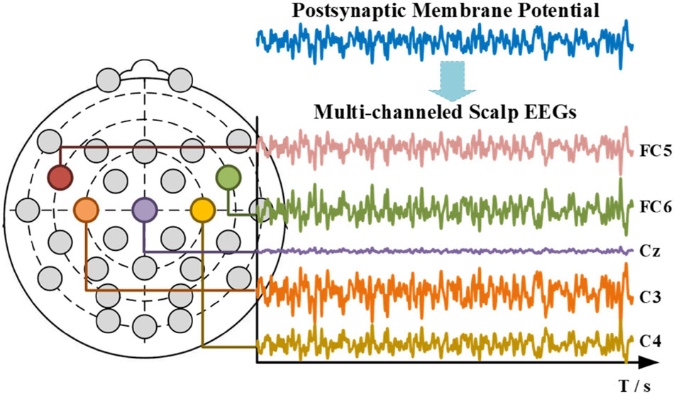 Frontiers | Realizing the Application of EEG Modeling in BCI ...