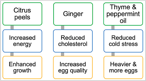 Figure 3 - Effects of some plant-based pre-biotics on chickens.