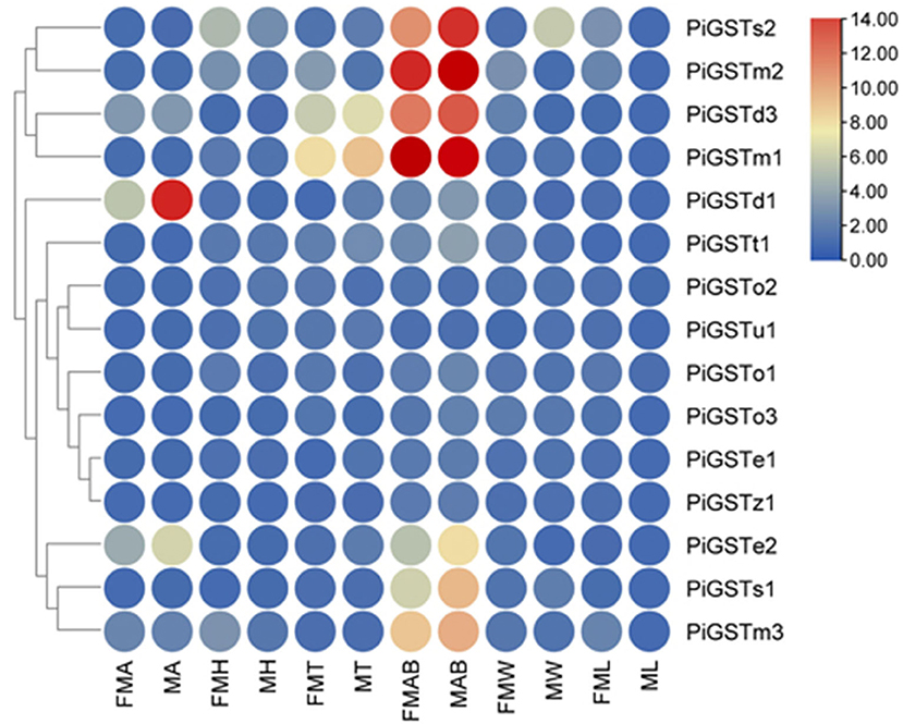 www.frontiersin.org