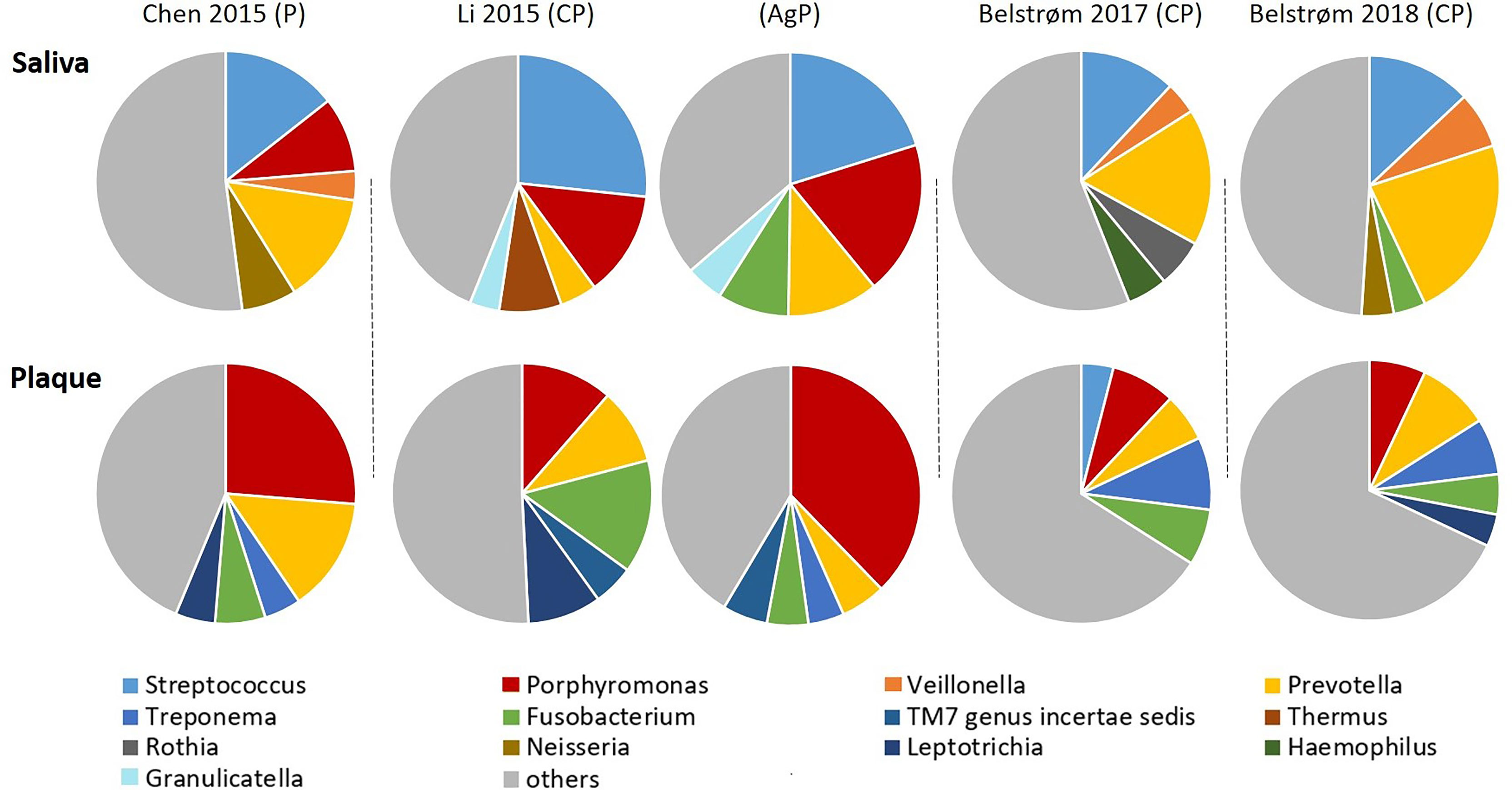 Frontiers | Comparison of Red-Complex Bacteria Between and Subgingival Plaque of Periodontitis Patients: A Systematic Review and Meta-Analysis