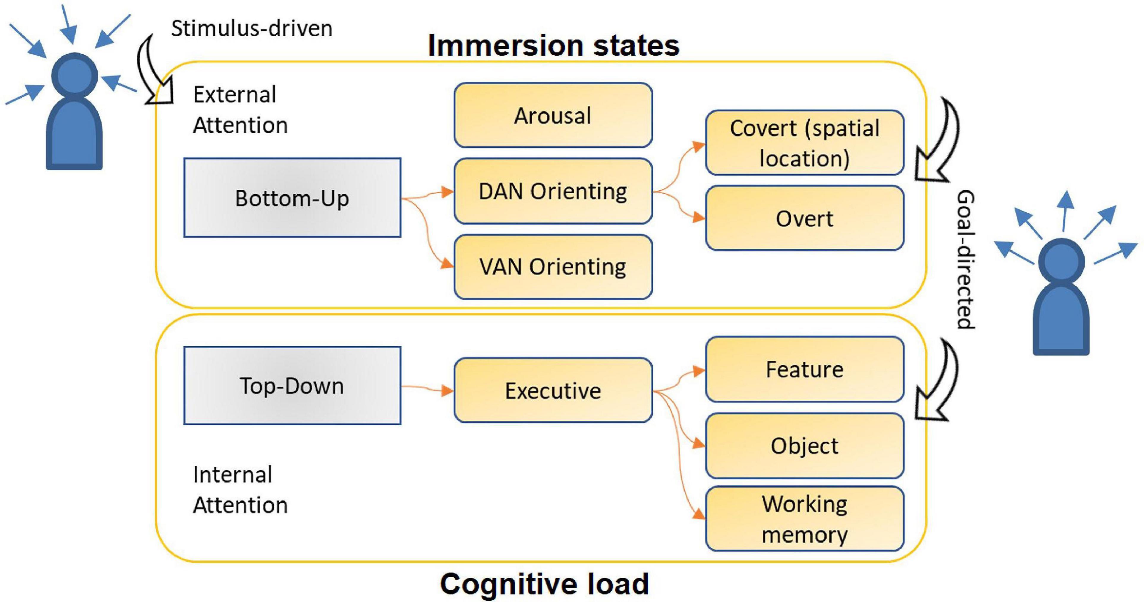 Frontiers  Attention Detection in Virtual Environments Using EEG