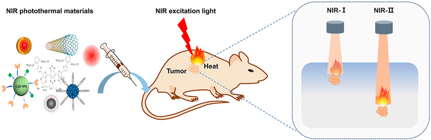 Frontiers  Recent Progress on NIRII Photothermal Therapy