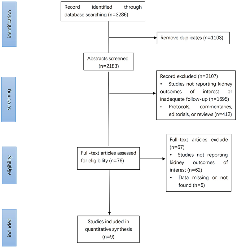 Short-term, acute effects and adaptations of SSGs: Summary table.