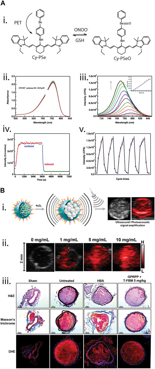 Frontiers  Review: Nanomaterials for Reactive Oxygen Species Detection and  Monitoring in Biological Environments