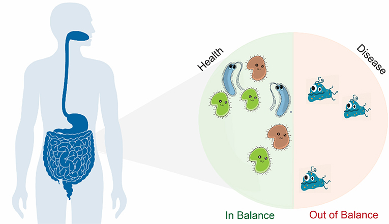 Figure 1 - Trillions of bacteria live in and on our bodies.