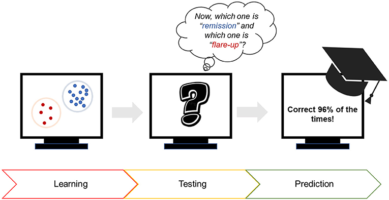 Figure 3 - Using computers to predict the occurrence of flare-ups in Crohn’s disease patients.