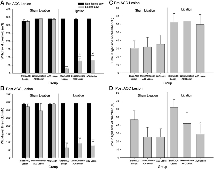 Revision Ed Min Frontiers | The anterior cingulate cortex and pain processing | Frontiers  in Integrative Neuroscience