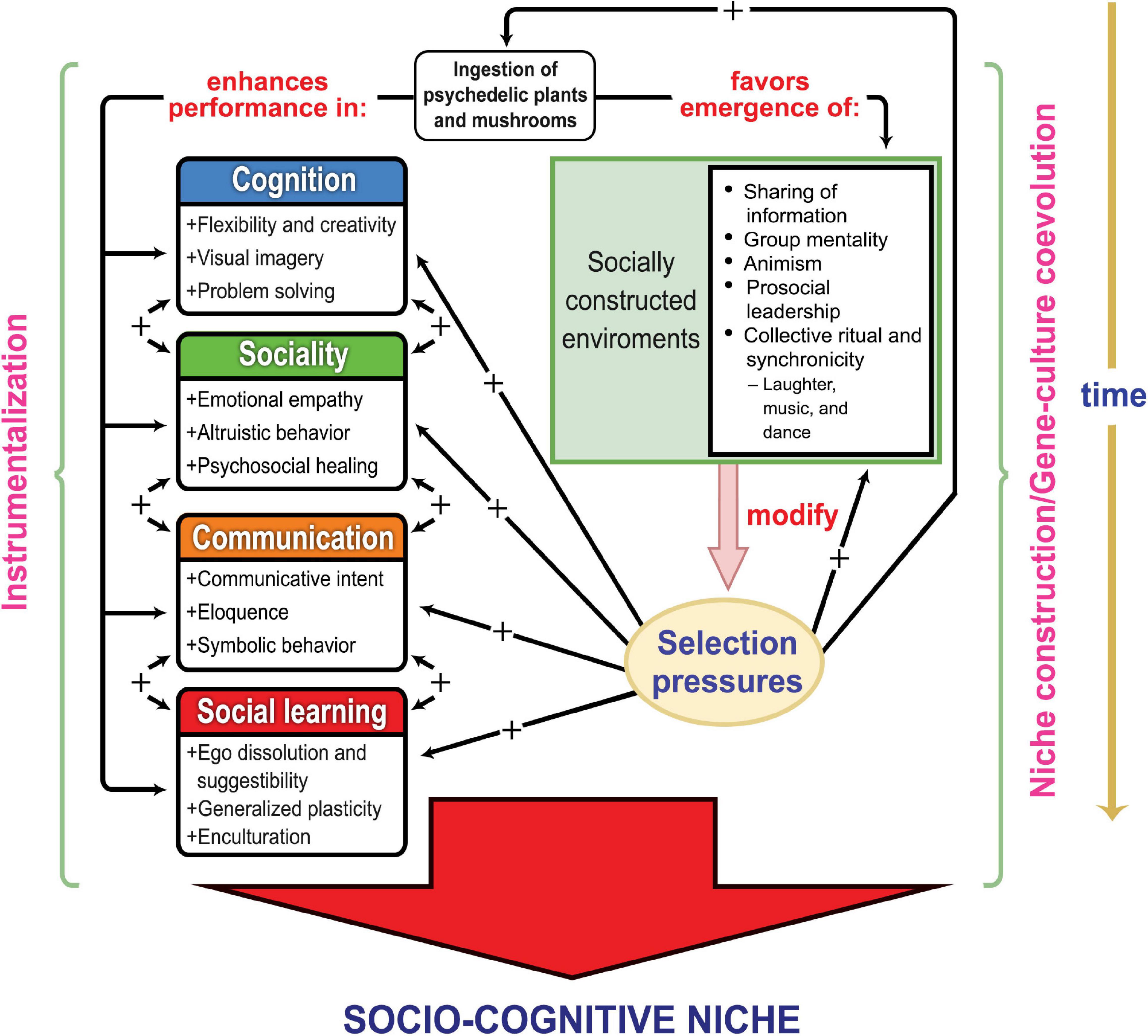 PDF) RE-CONTEXTUALIZING SCIENCE IN A HUMANISTIC PERSPECTIVE -.HANDS IN MEDICINE AND IN ART