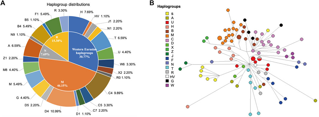 Frontiers | Genetic Background of Kirgiz Ethnic Group From Northwest China  Revealed by Mitochondrial DNA Control Region Sequences on Massively  Parallel Sequencing | Genetics