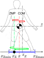 Identification of COM Controller of a Human in Stance Based on Motion Measurement and Phase-Space Analysis