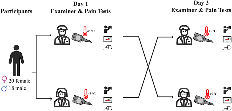 www.frontiersin.org