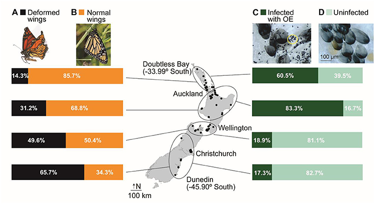Figure 3 - Map of New Zealand showing where samples were collected (black dots).