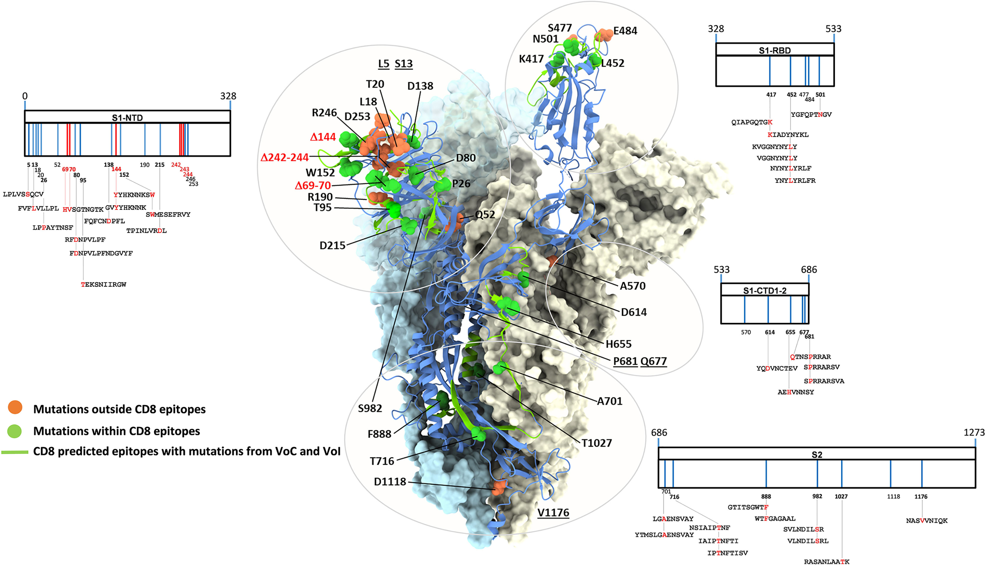 Characterization of the novel HLA‐B*46:41N allele - Zheng - 2020