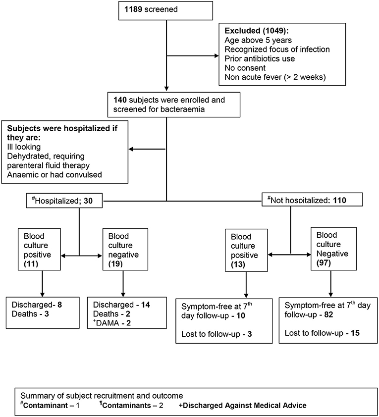 PDF) Current management of occult bacteremia in infants