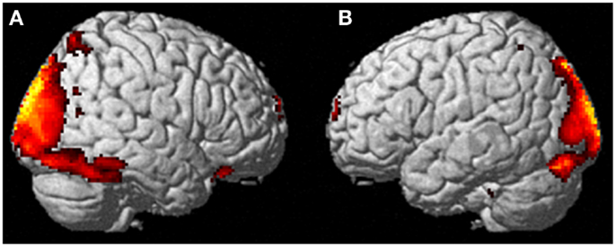 Frontiers  Voluntary Out-of-Body Experience: An fMRI Study