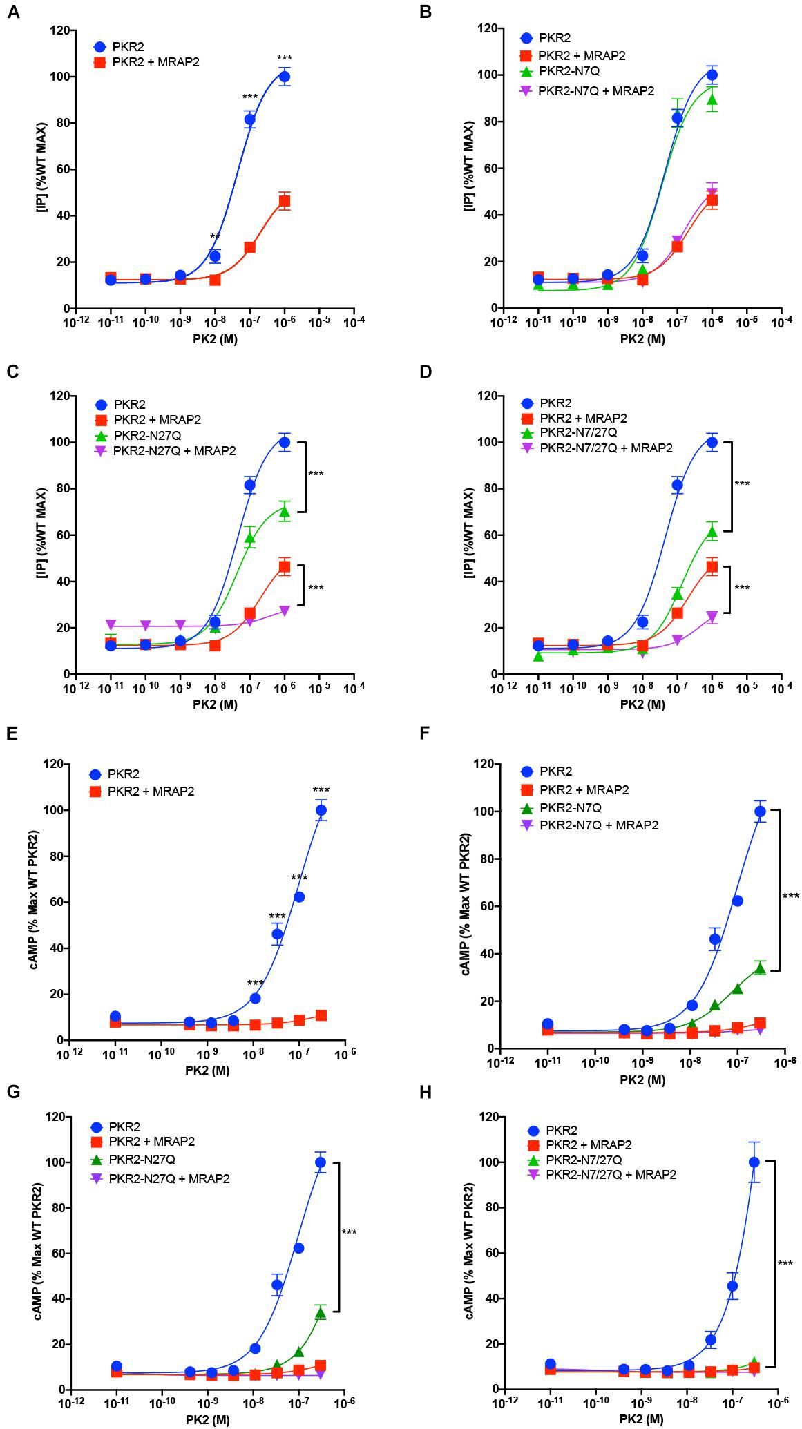 Identification and functional characterisation of N-linked glycosylation of  the orphan G protein-coupled receptor Gpr176