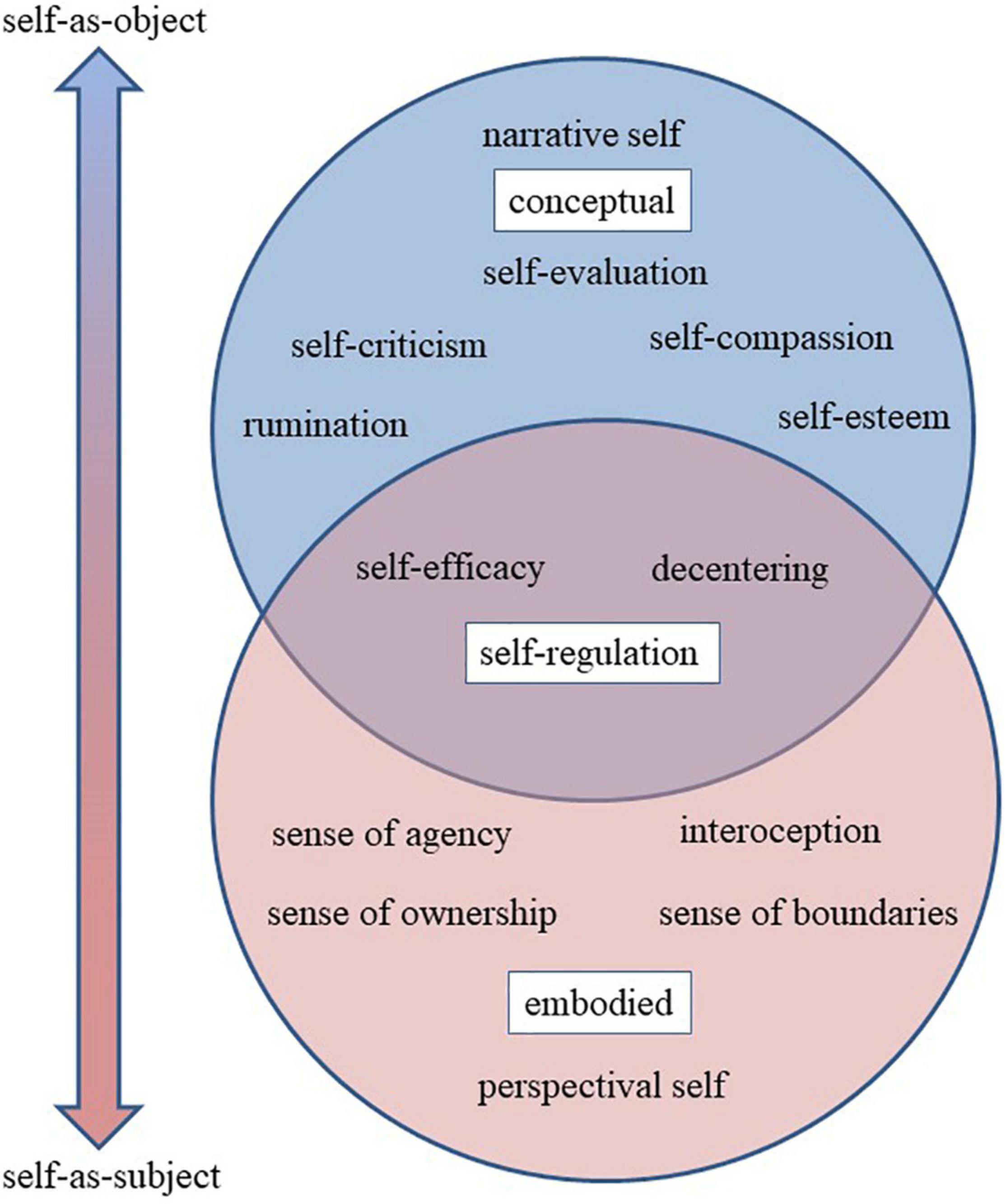 frontiers-from-self-esteem-to-selflessness-an-evidence-gap-map-of-self-related-processes-as