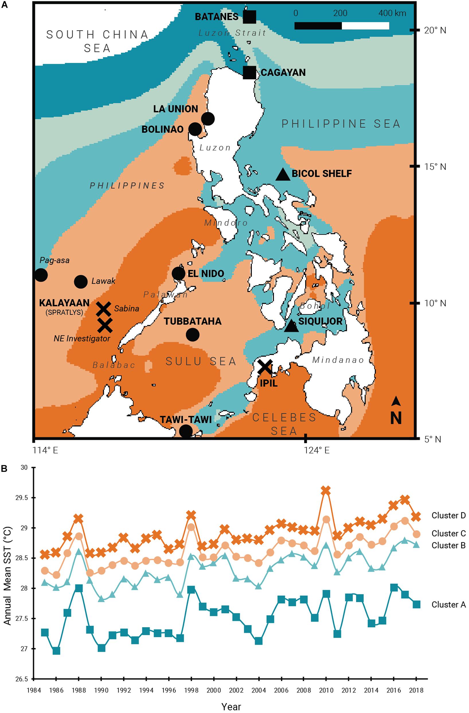 PDF) Genetic variation in Breviolum antillogorgium, a coral reef symbiont,  in response to temperature and nutrients