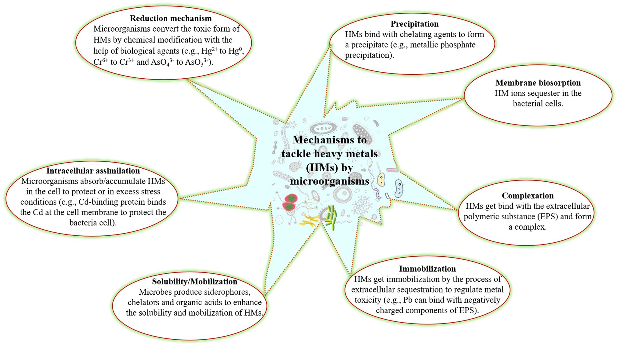 Workshop – Mycoremediation, a sustainable strategy for the