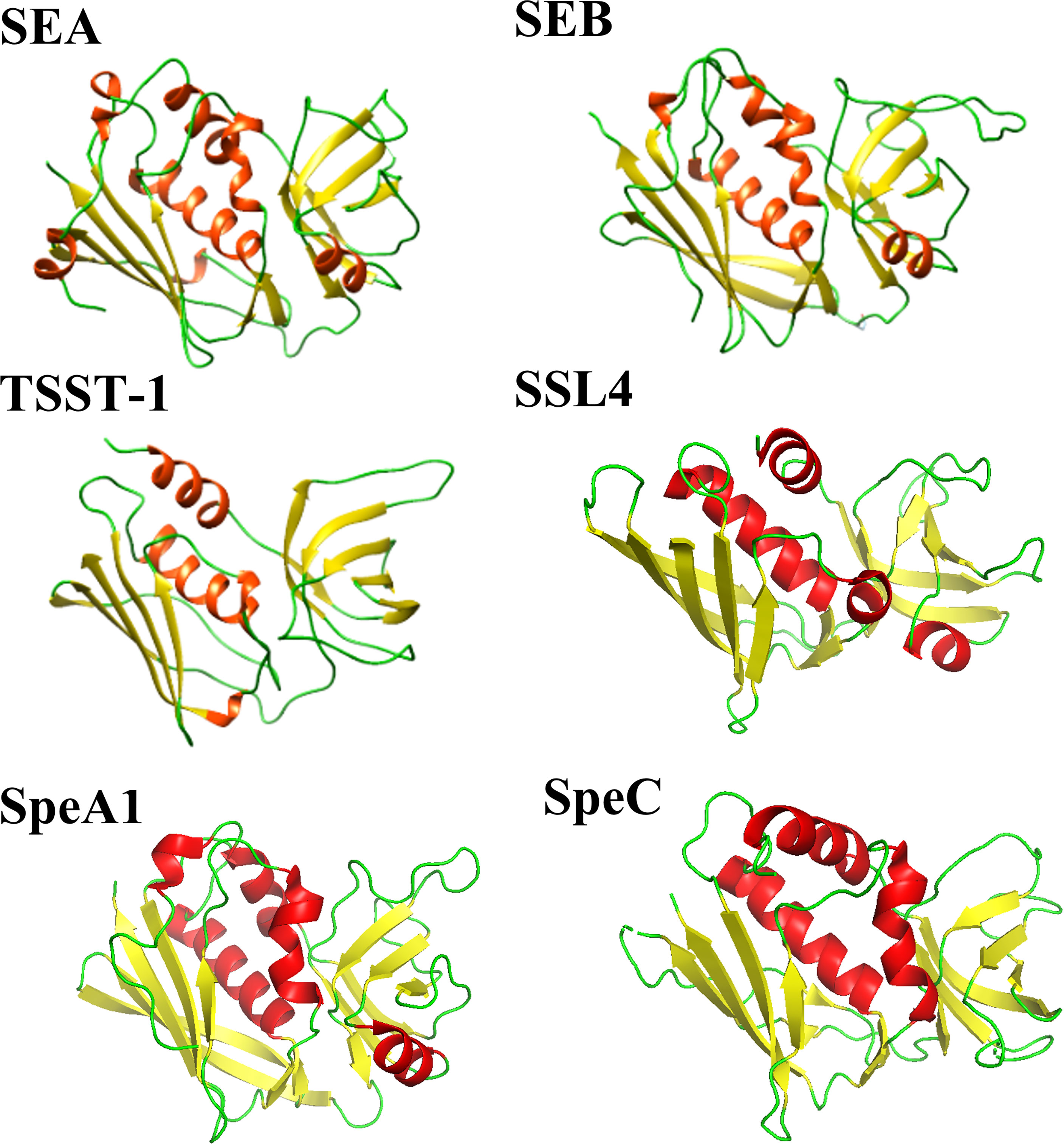 Toxins - Free Full-Text - Allergy—A New Role for T Cell Superantigens of  Staphylococcus aureus? - HTML