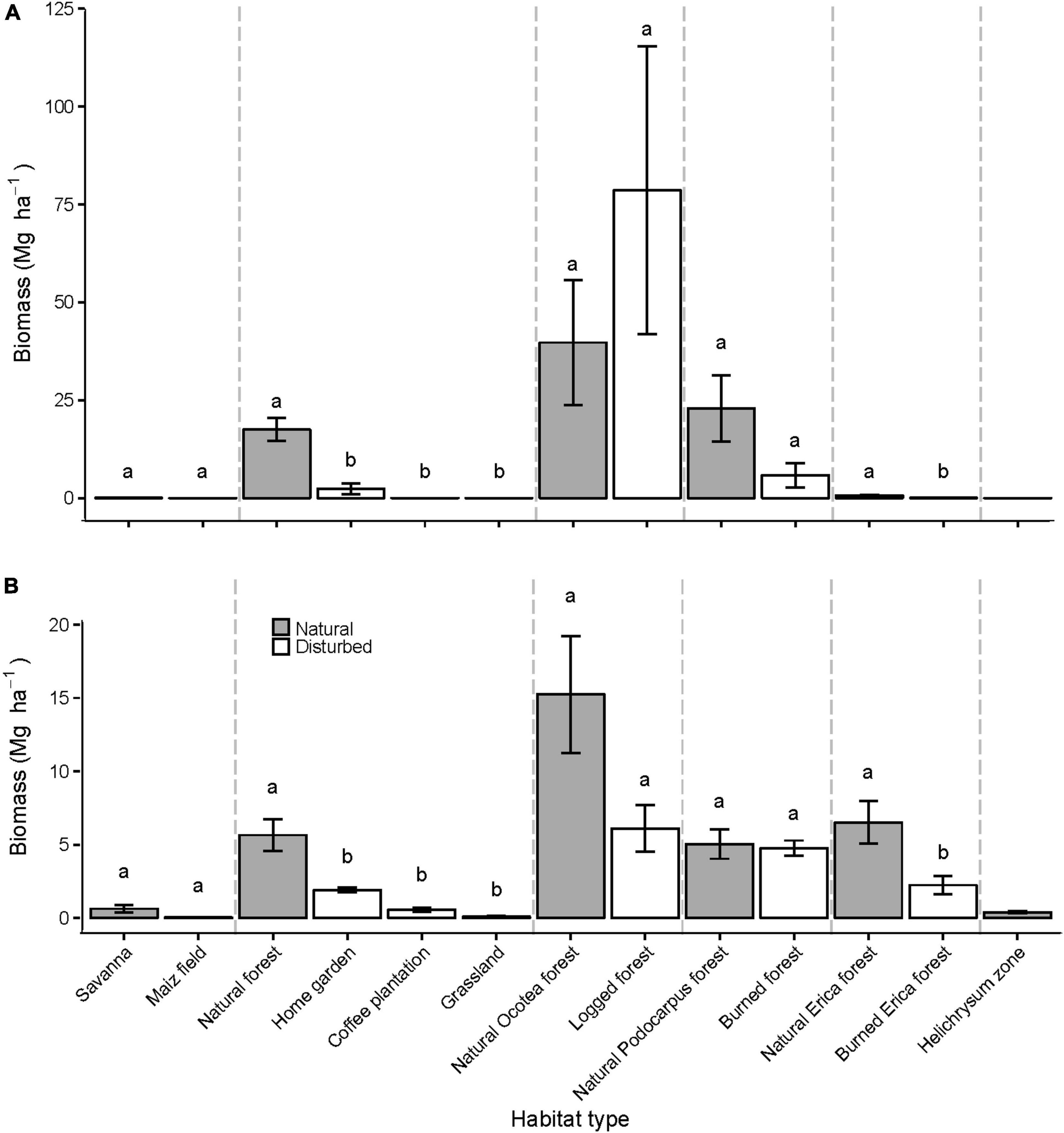 Frontiers  Wood density is related to aboveground biomass and productivity  along a successional gradient in upper Andean tropical forests