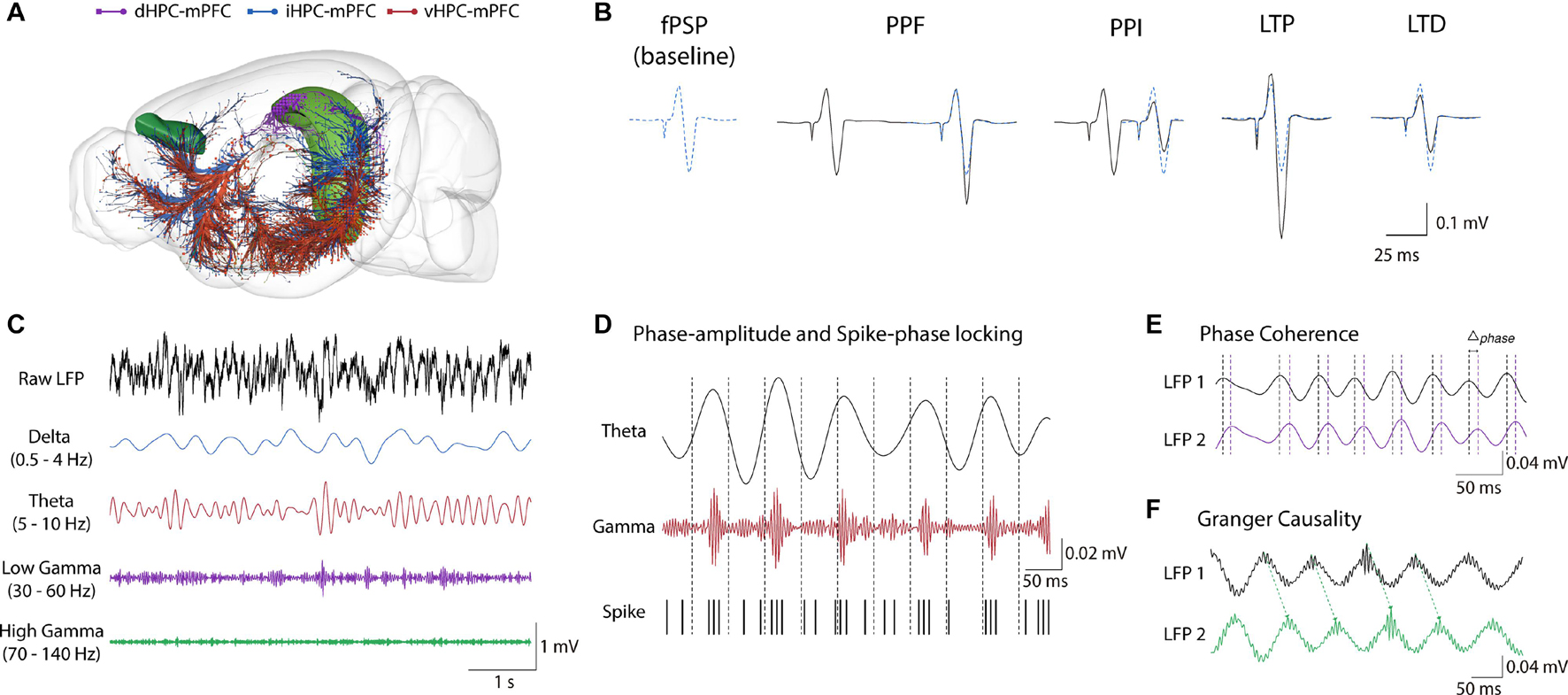 Frequency-specific neuromodulation of local and distant