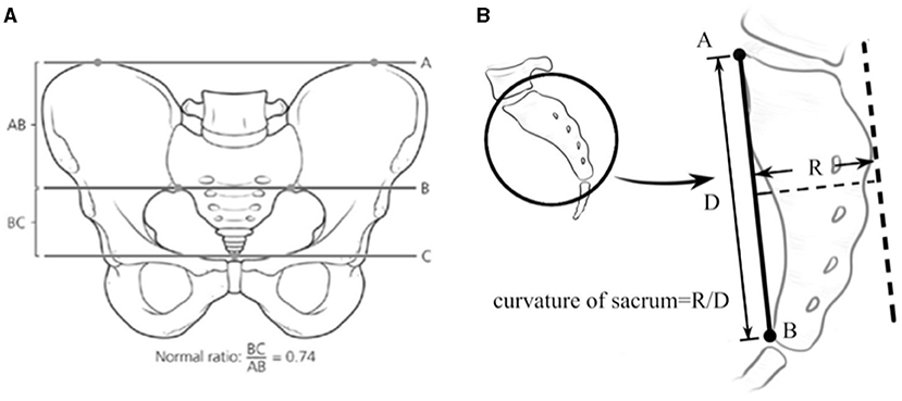 Clinical Presentation & Adjustment: Base Posterior Sacrum