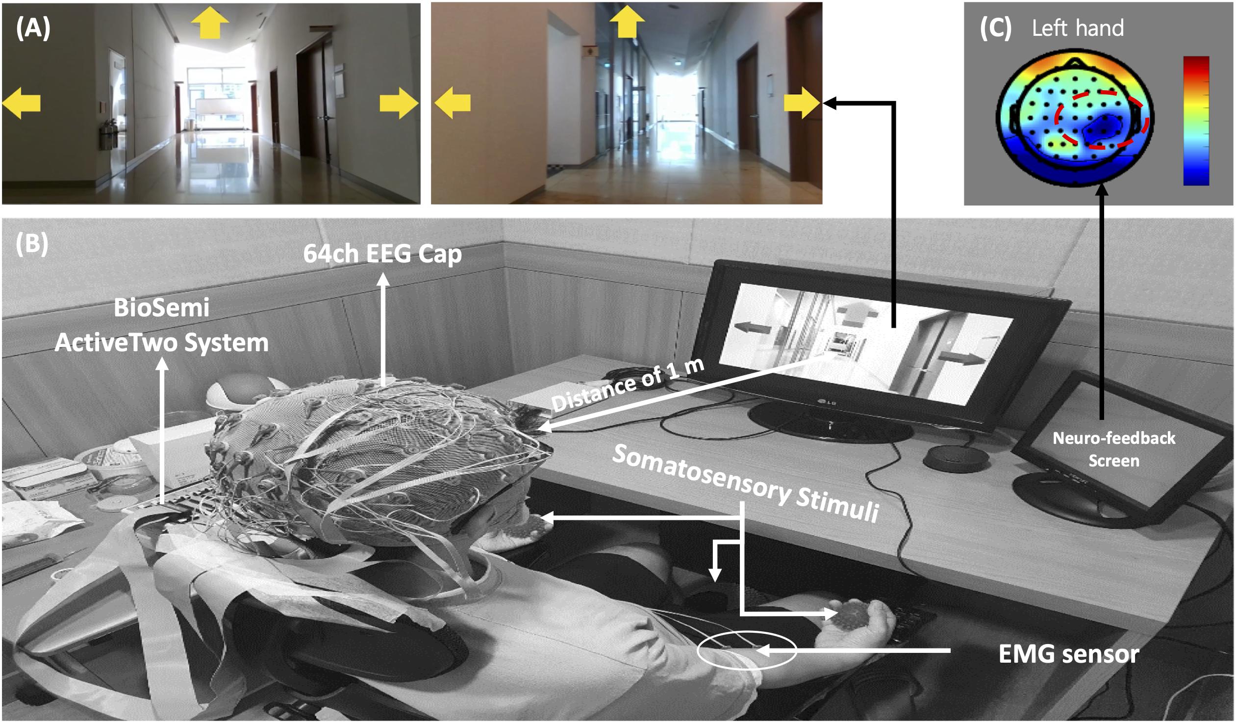 Frontiers  Exploring Effects of Information Filtering With a VR Interface  for Multi-Robot Supervision