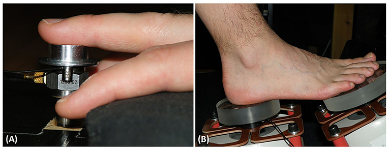 Figure 1 - Contact discs for (A) the fingertip, and (B) the heel and forefoot.