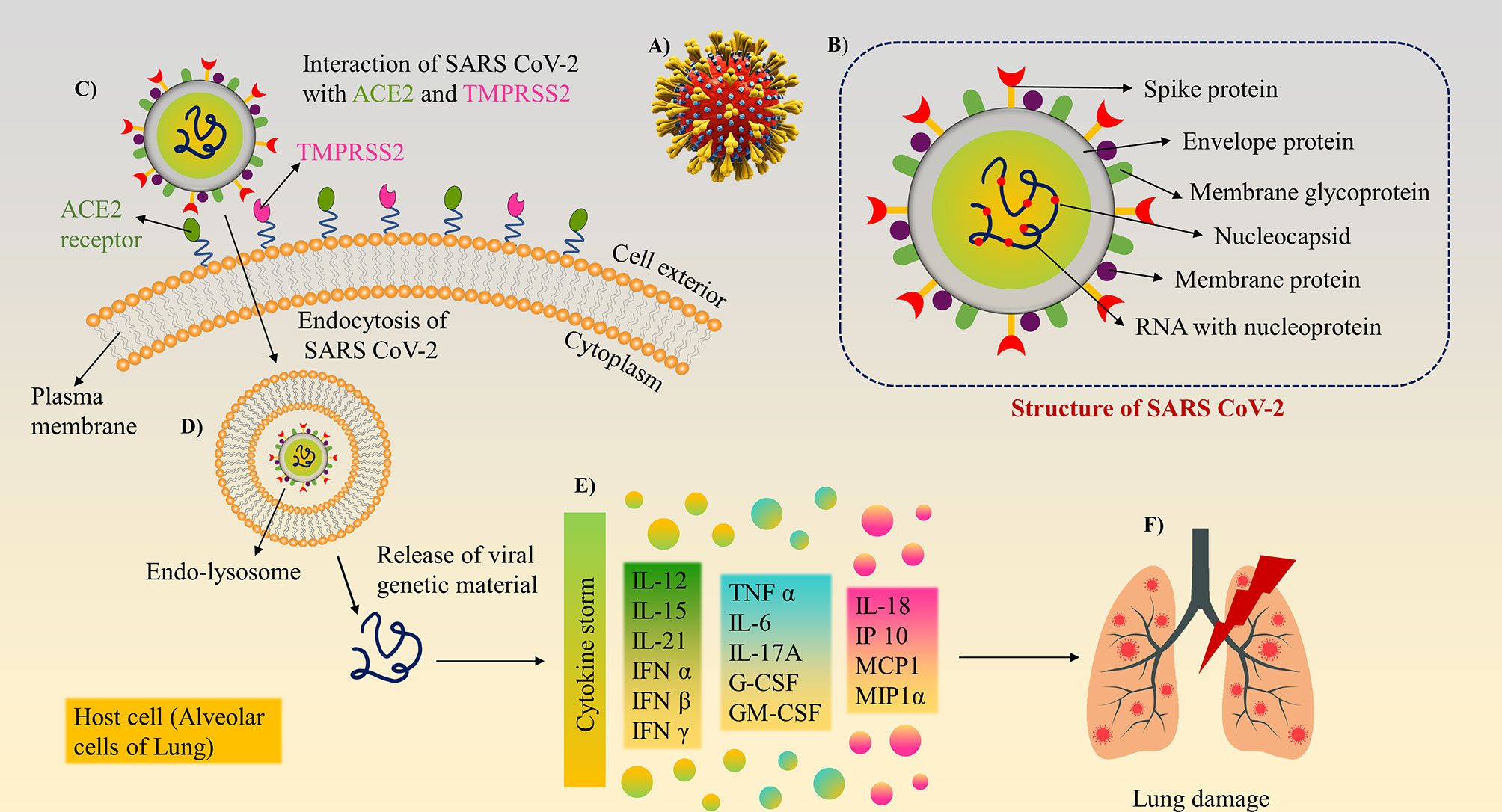 Diagnostics and analysis of SARS-CoV-2: current status, recent