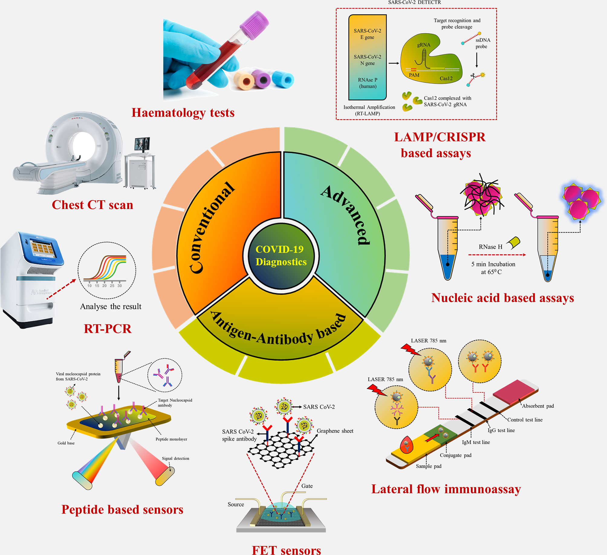 Frontiers A Recent Update on Advanced Molecular Diagnostic Techniques for COVID-19 Pandemic An Overview