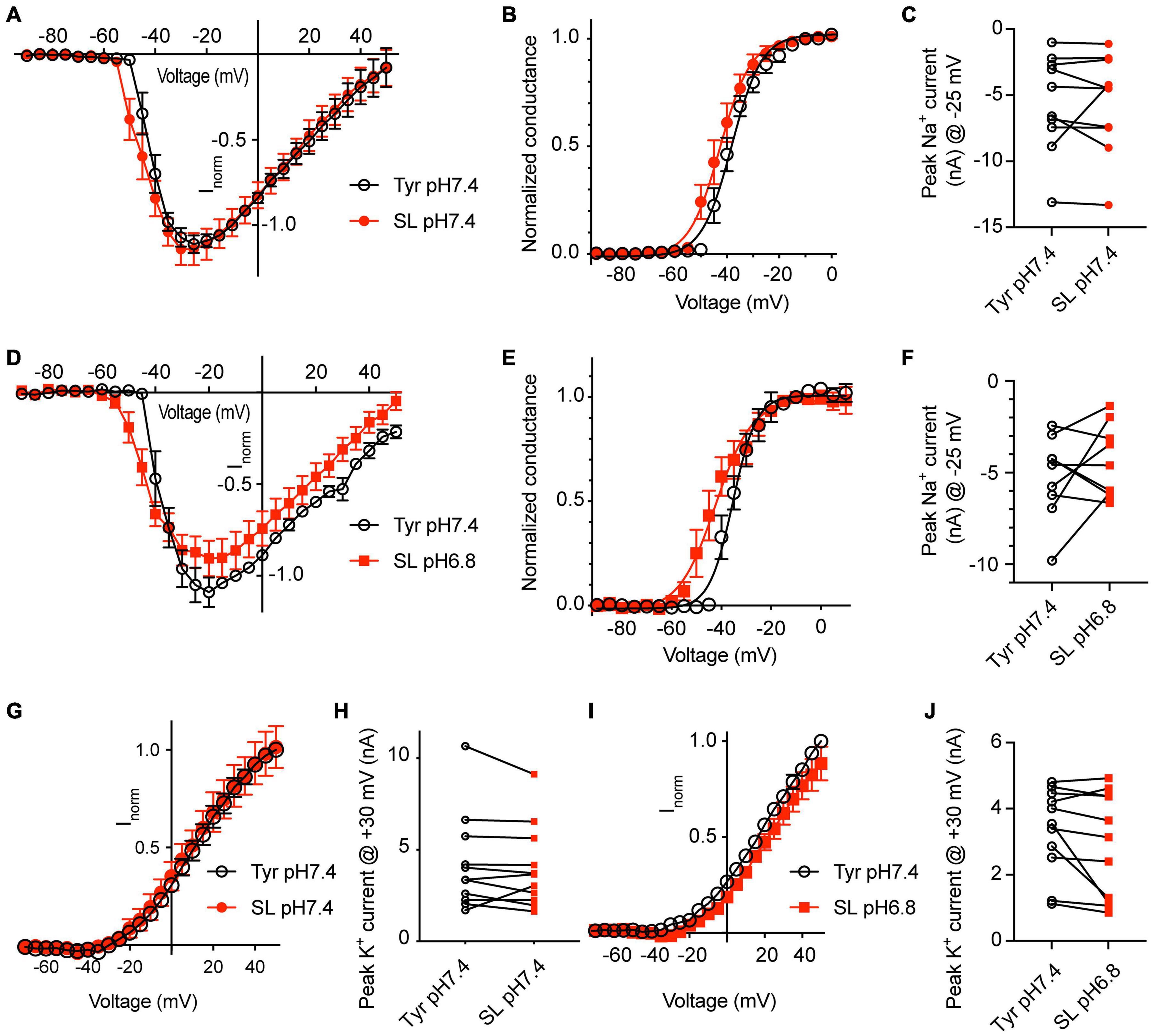 Støv Fordeling stole R3 Reviews Responses Reflections In Neuroscience By Utneuro - Mobile Legends