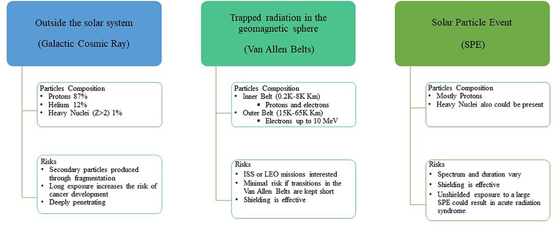 Space Radiobiology