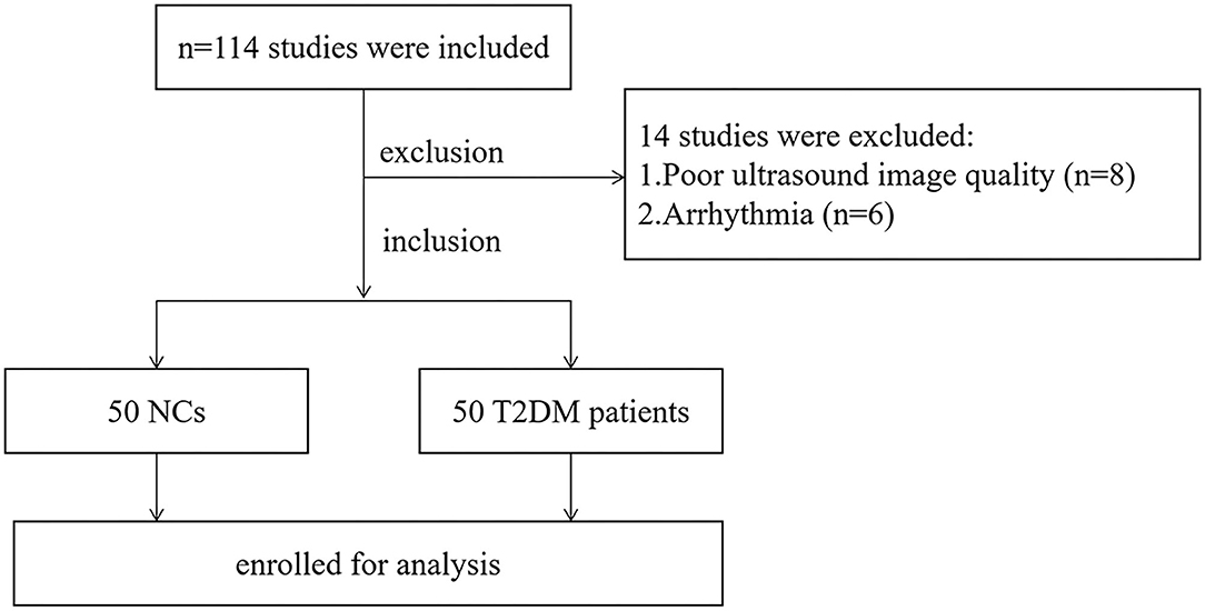 Frontiers  Left Ventricular Strains and Myocardial Work in Adolescents  With Anorexia Nervosa